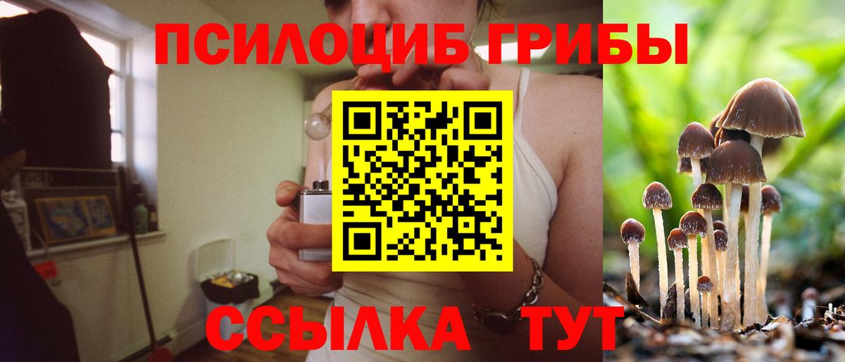 Муравленко  Псилоцибиновые грибы прущие грибы  Вход с VPN 